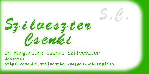 szilveszter csenki business card